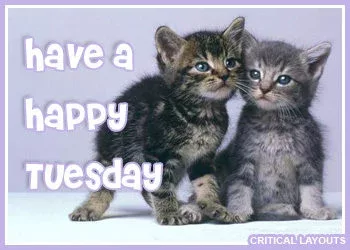 happy tuesday kittens dc1 774d46412b0af5f2802059e80965d3b1