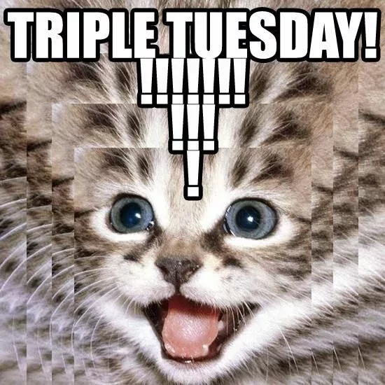 TRIPLE TUESDAY CAT