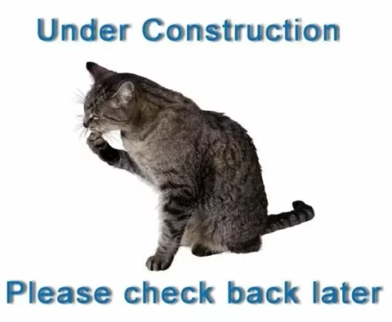 Under_Construction_Cat