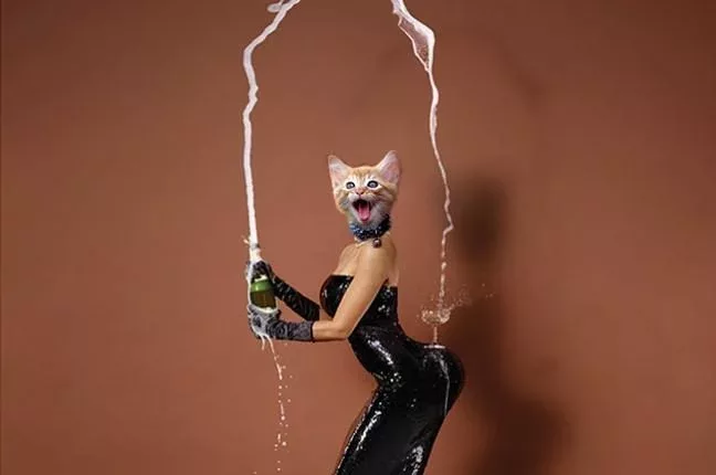 kim catdashian